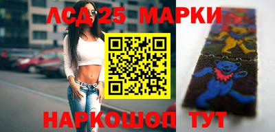 a pvp Новодвинск