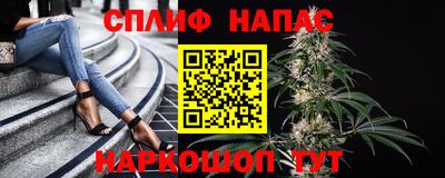 хмурый Новозыбков