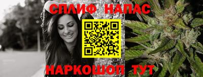 a pvp Новодвинск