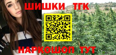 a pvp Новодвинск