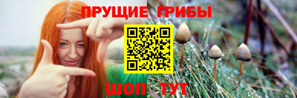 Псилоцибиновые грибы мухоморы Сосновый Бор
