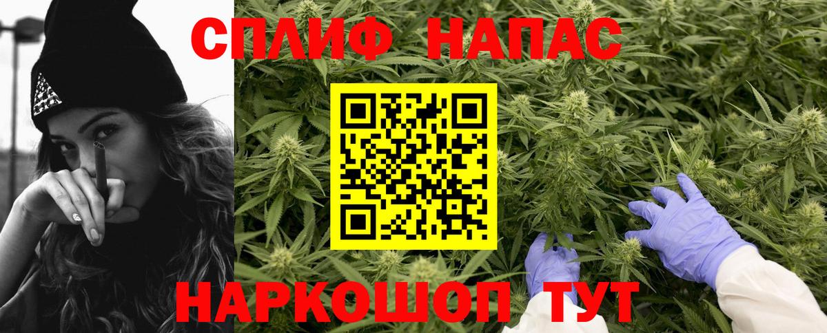 Сосновый Бор  Бошки Шишки гибрид  Марихуана Amnesia  Вход с VPN  Бошки марихуана марихуана  Шишки марихуана конопля 